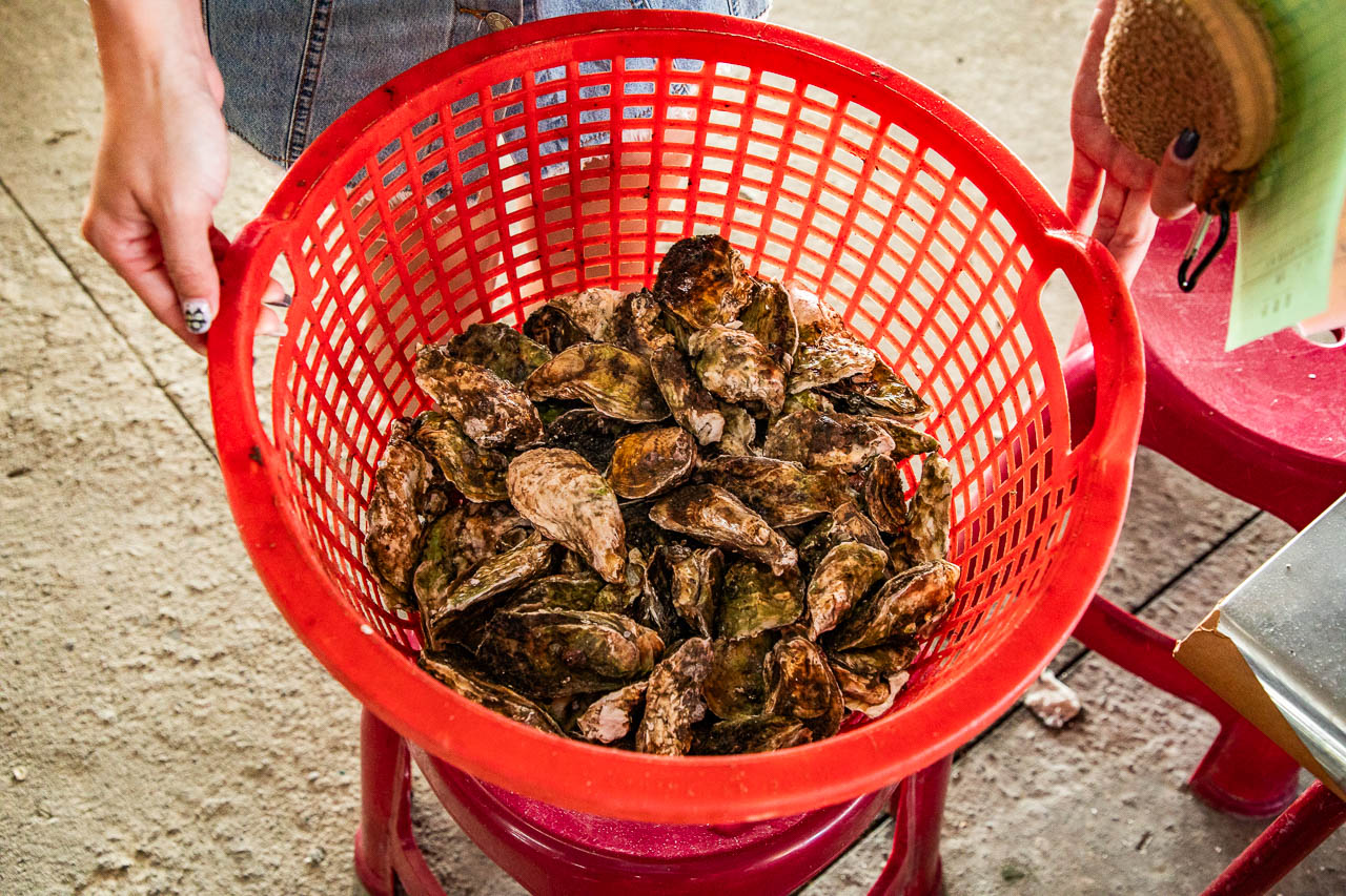嘉義東石鮮蚵吃到飽,有夠鮮-烤蚵吃到飽