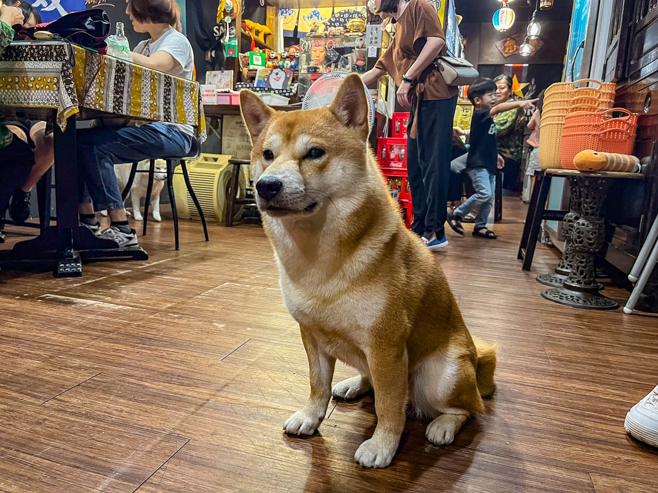 桃園漢堡排,三十四總本家