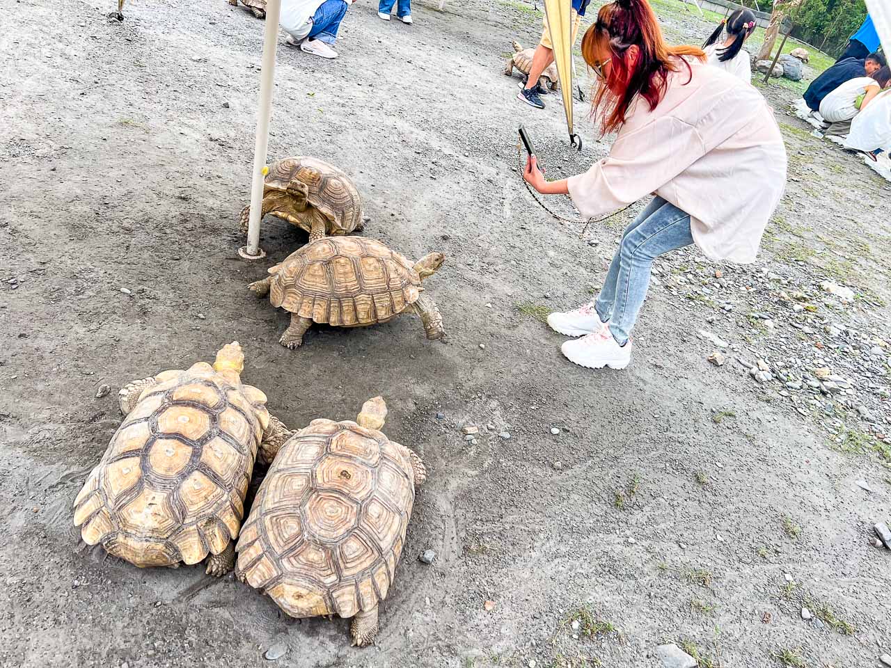 宜蘭景點,慢吞吞農場