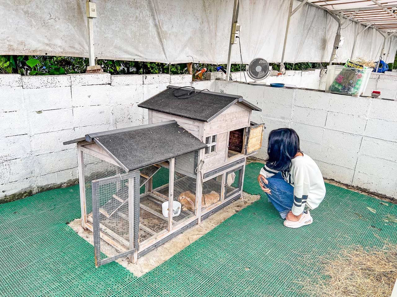 宜蘭景點,慢吞吞農場