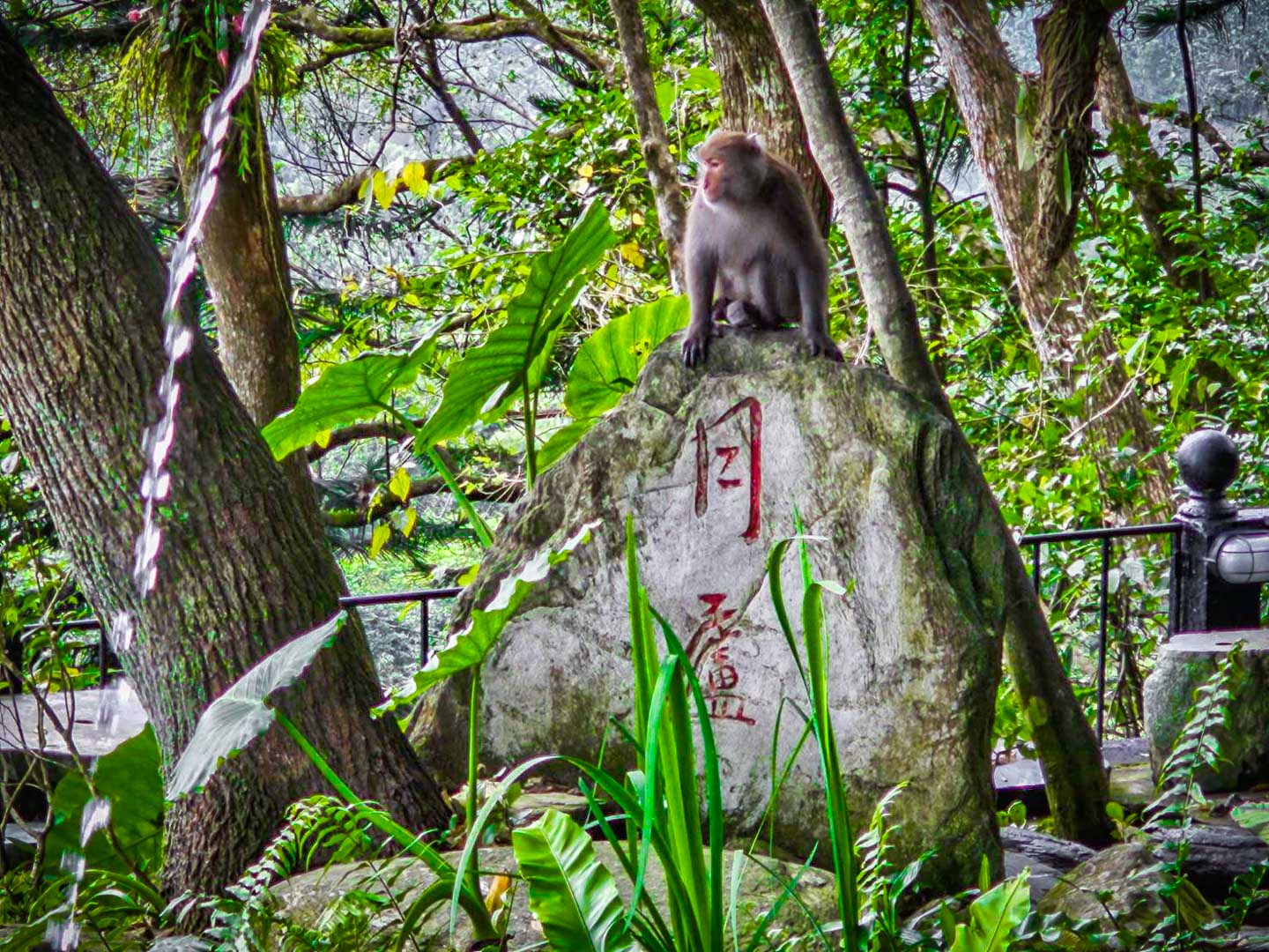 花蓮美食,遺忘的故鄉 月廬食堂