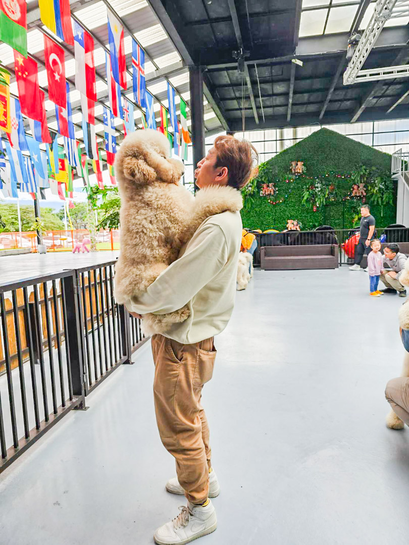 花蓮景點,汪woof cafe
