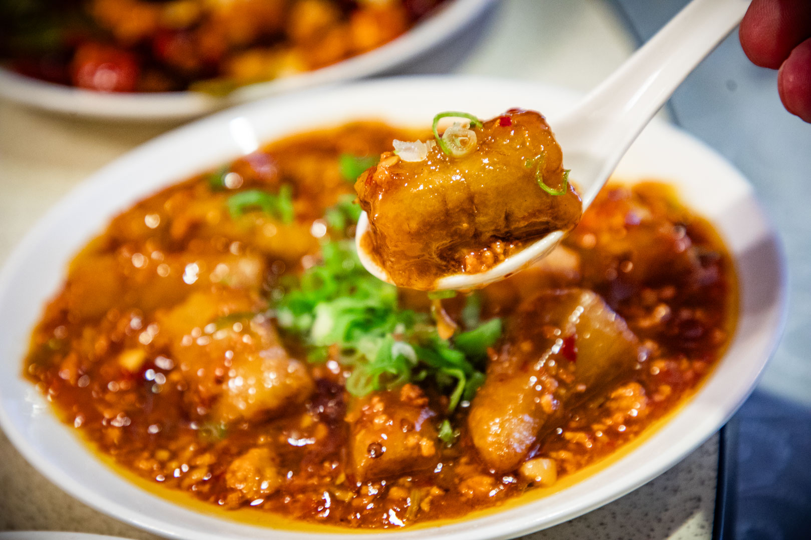 台北烤鴨,宋廚菜館