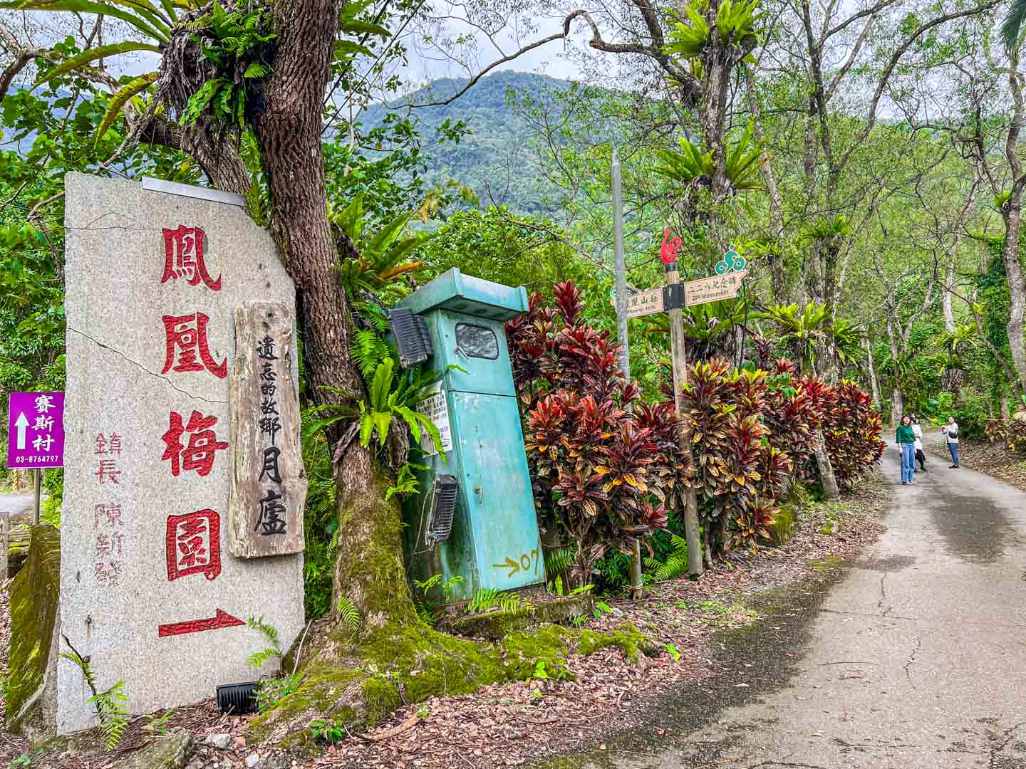 花蓮美食,遺忘的故鄉 月廬食堂