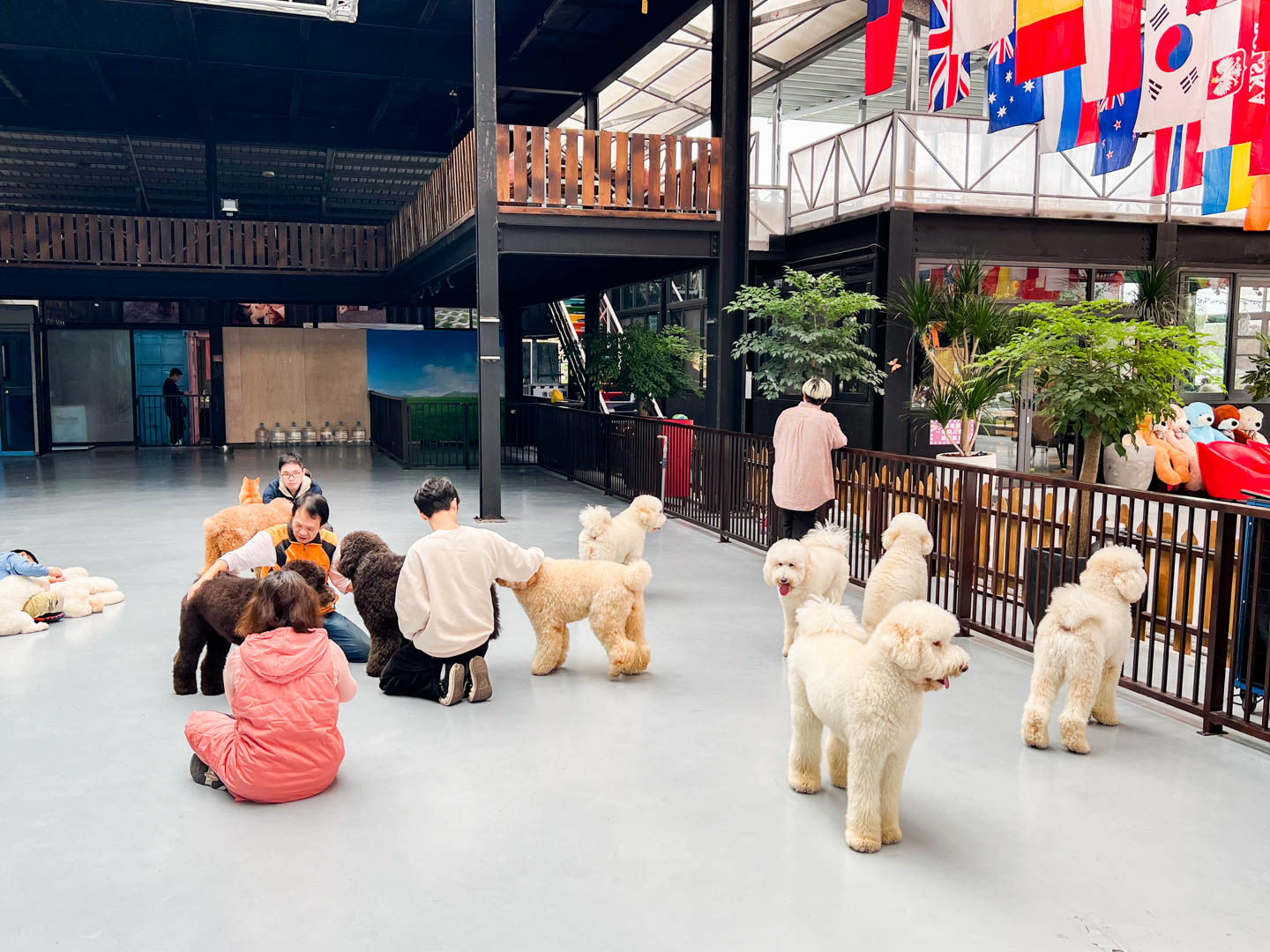 花蓮景點,汪woof cafe
