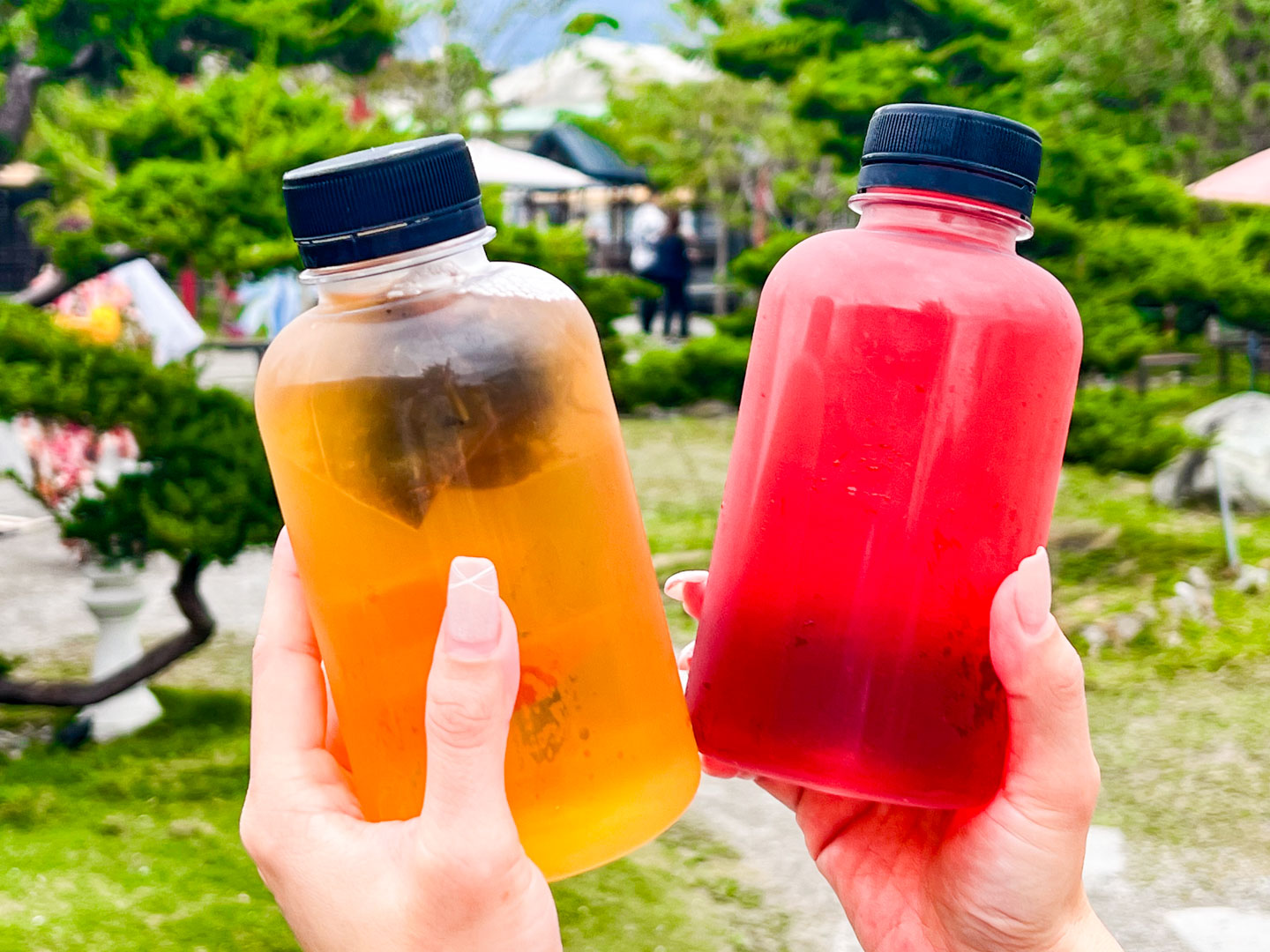 花蓮景點,張家の樹園