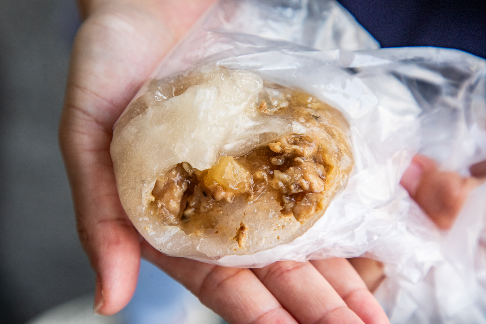 嘉義美食,北回水晶餃
