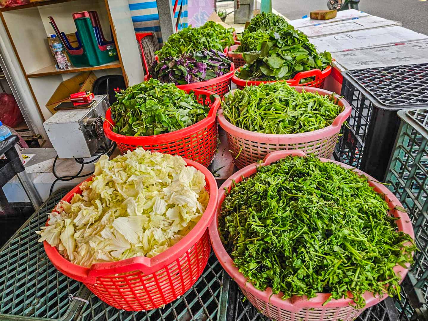 陽明山美食,阿月野菜快炒