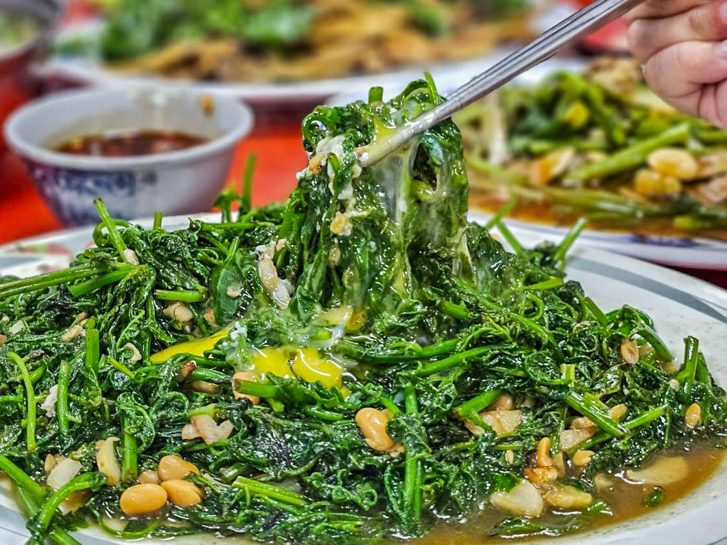 陽明山美食,阿月野菜快炒