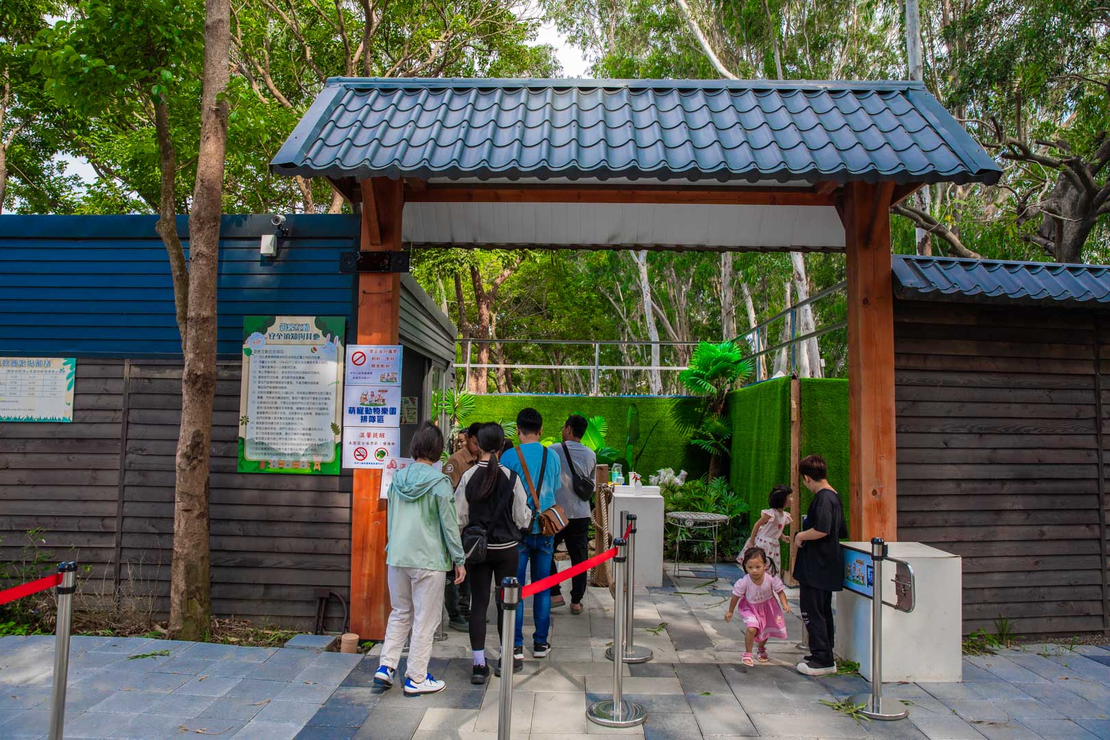 嘉義親子景點,咩咩上樹萌寵樂園