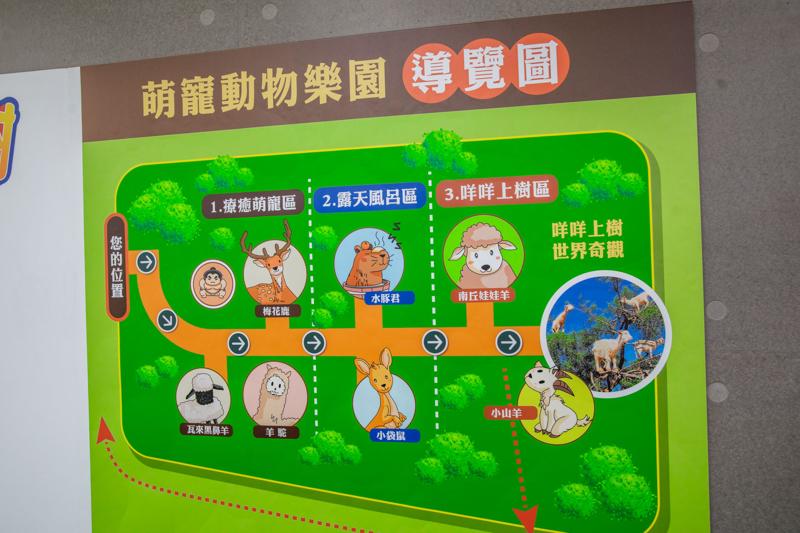 嘉義親子景點,咩咩上樹萌寵樂園