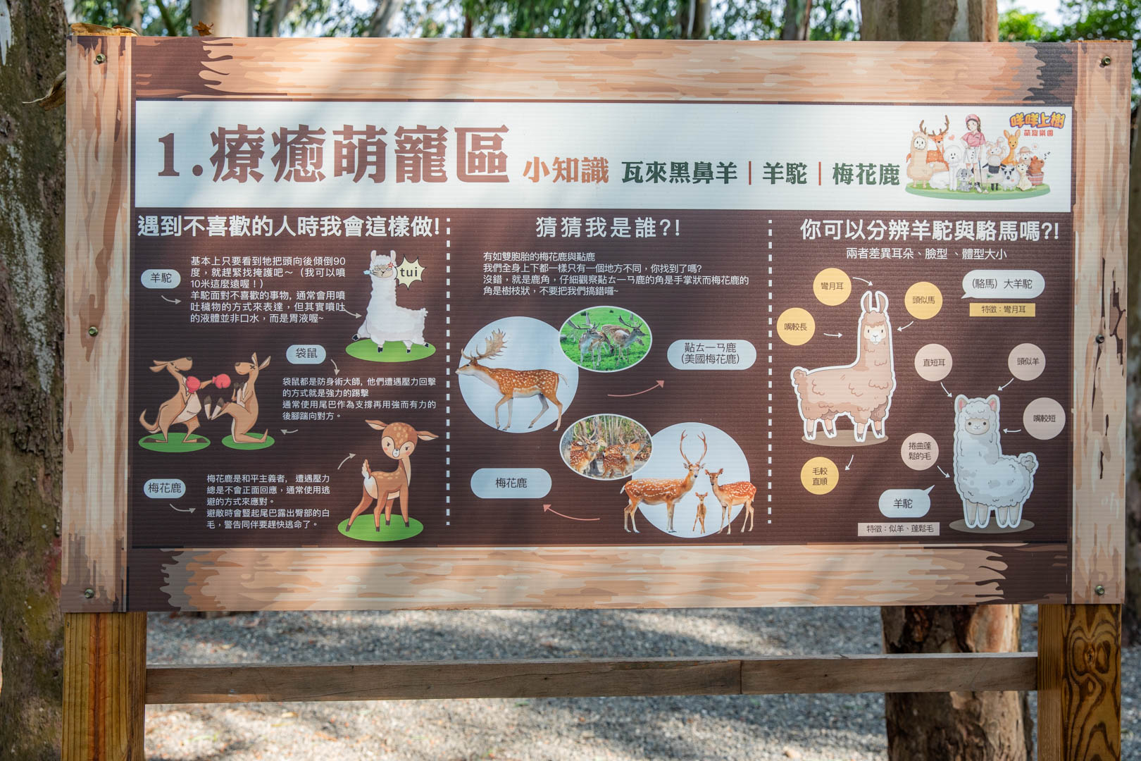 嘉義親子景點,咩咩上樹萌寵樂園