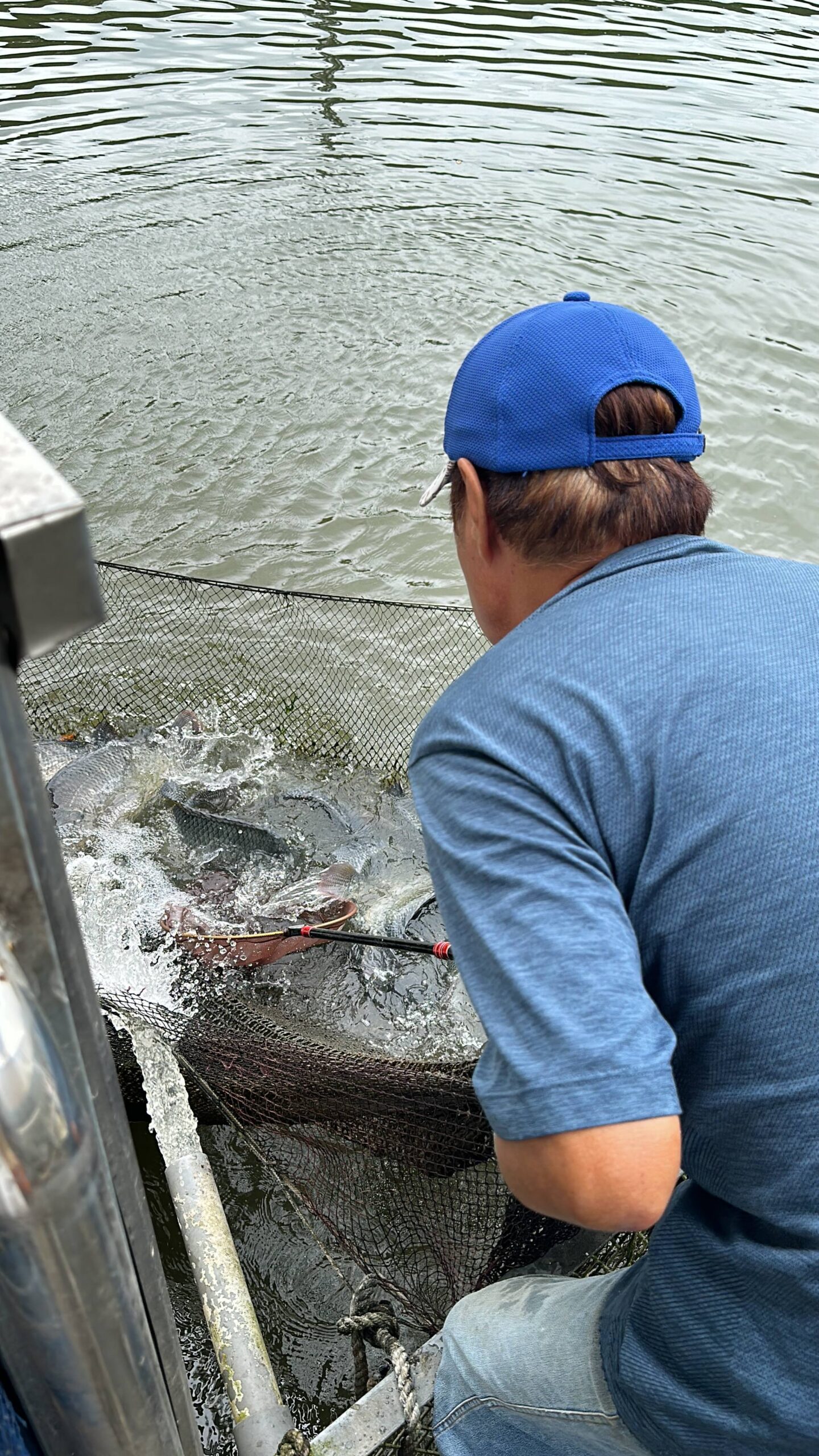 龍潭美食,三步五食休閒魚池