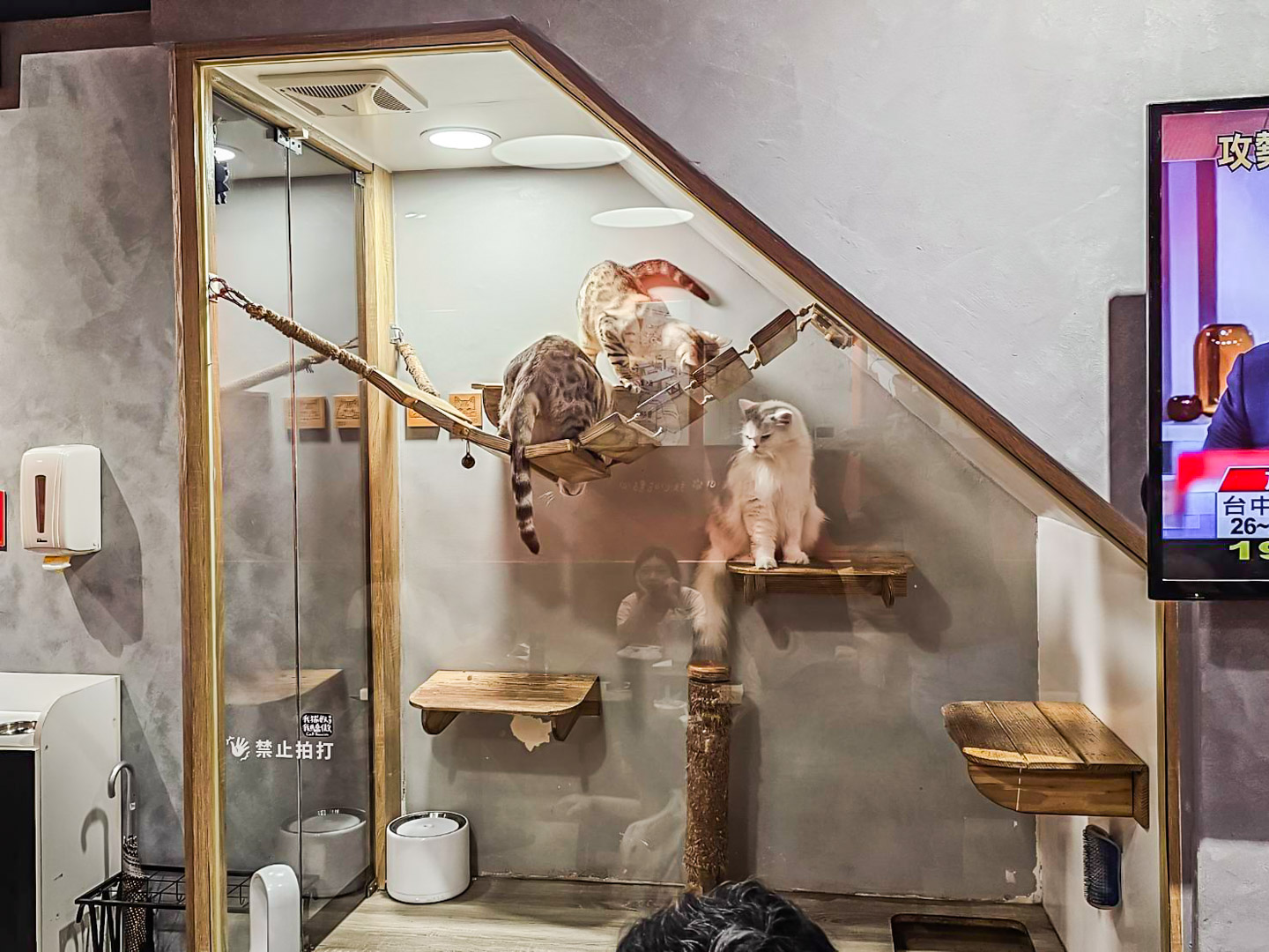 中原美食,林永方手工湯包麵線赤肉羹