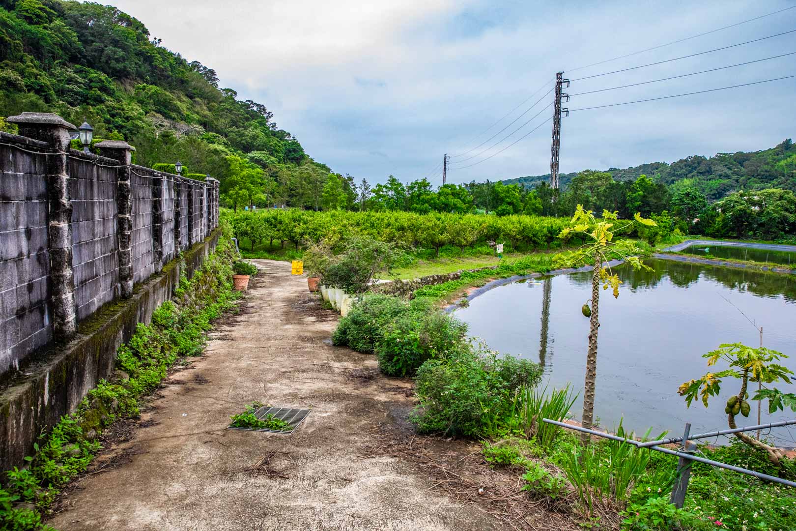 龍潭咖啡廳,青山吉田