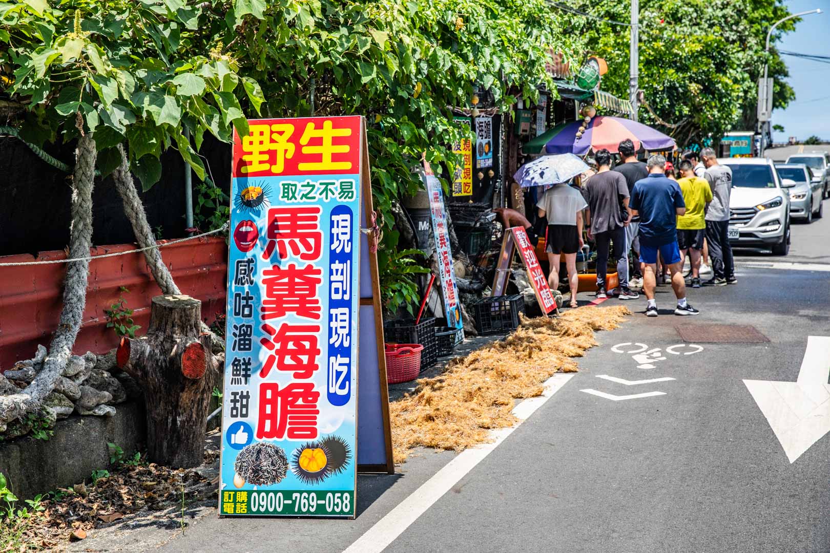 野柳美食,馬糞海膽現剖