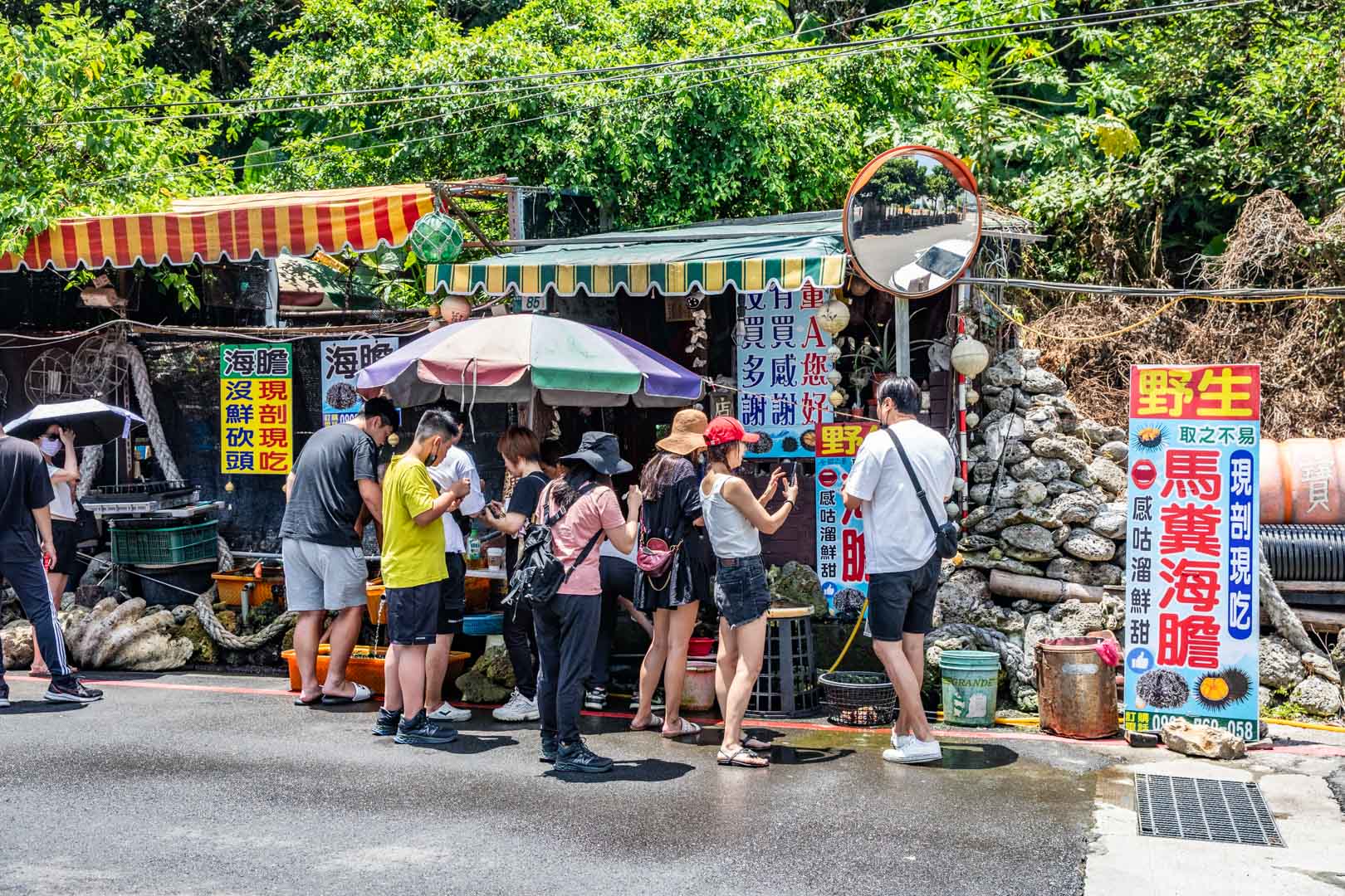 野柳美食,馬糞海膽現剖