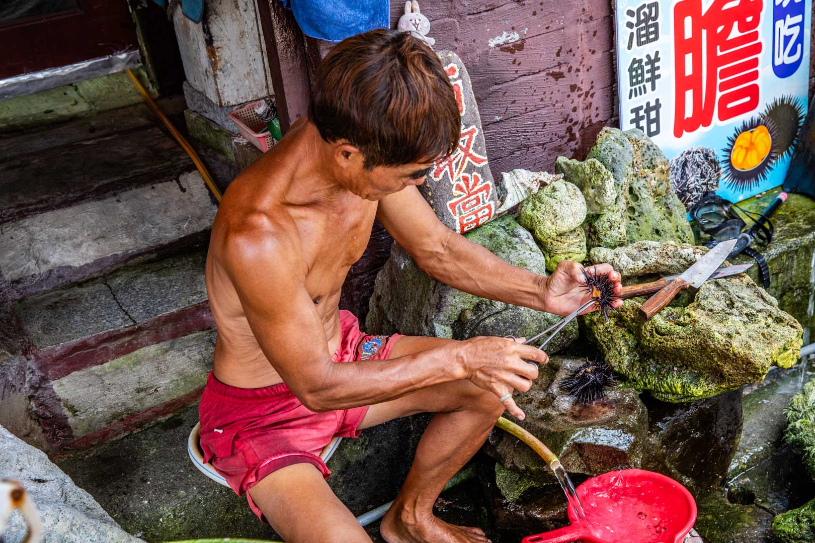 馬糞海膽現剖,龜吼美食,龜吼小吃,龜吼海鮮,野柳海鮮,野柳美食 @大手牽小手。玩樂趣