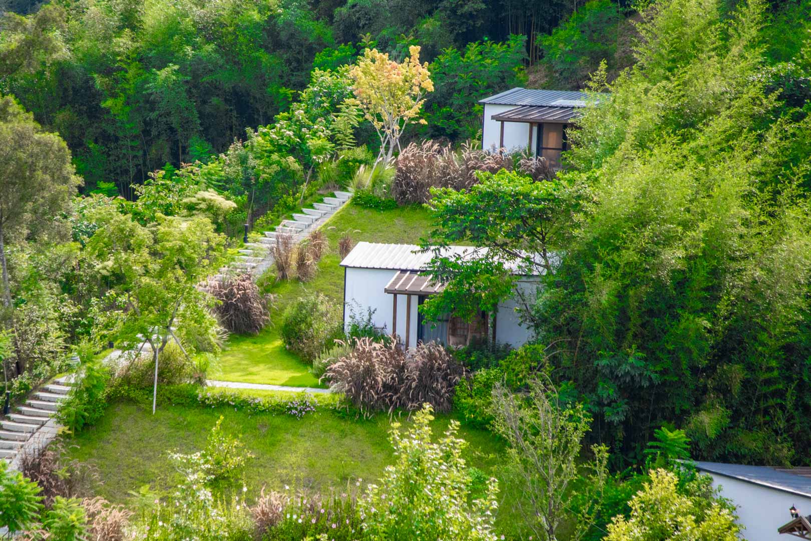 苗栗住宿,苗栗露營,紫鳶山城覓境莊園