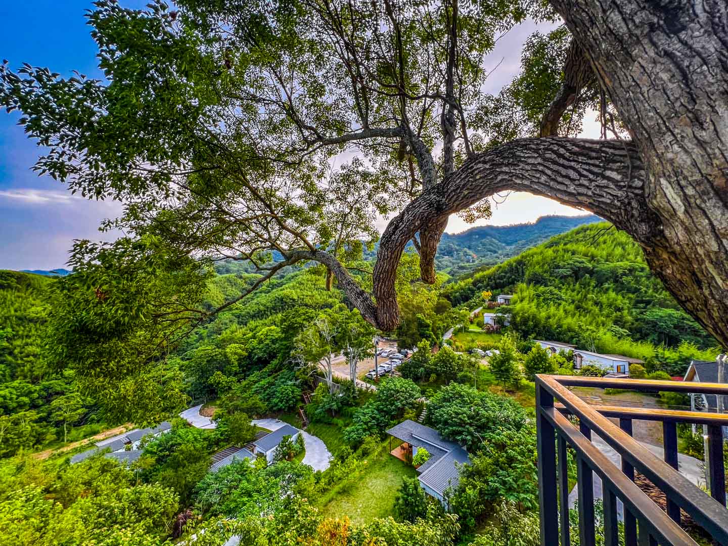 苗栗住宿,苗栗露營,紫鳶山城覓境莊園