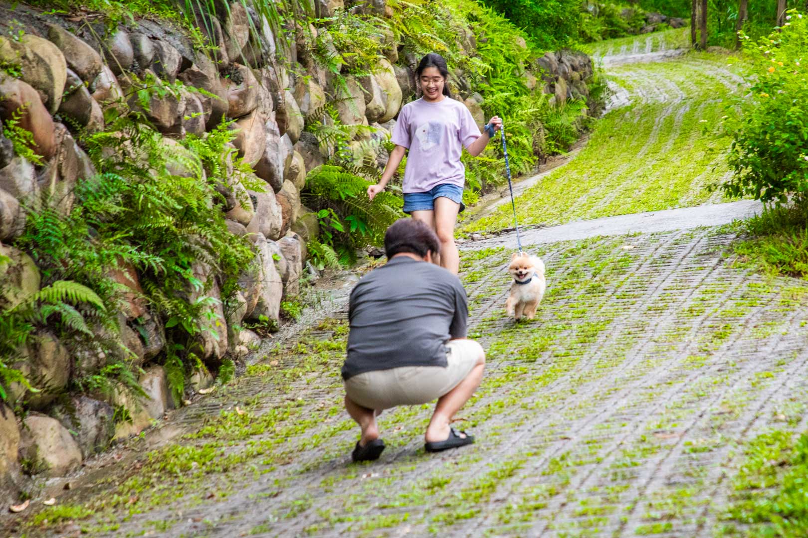 埔里住宿,
