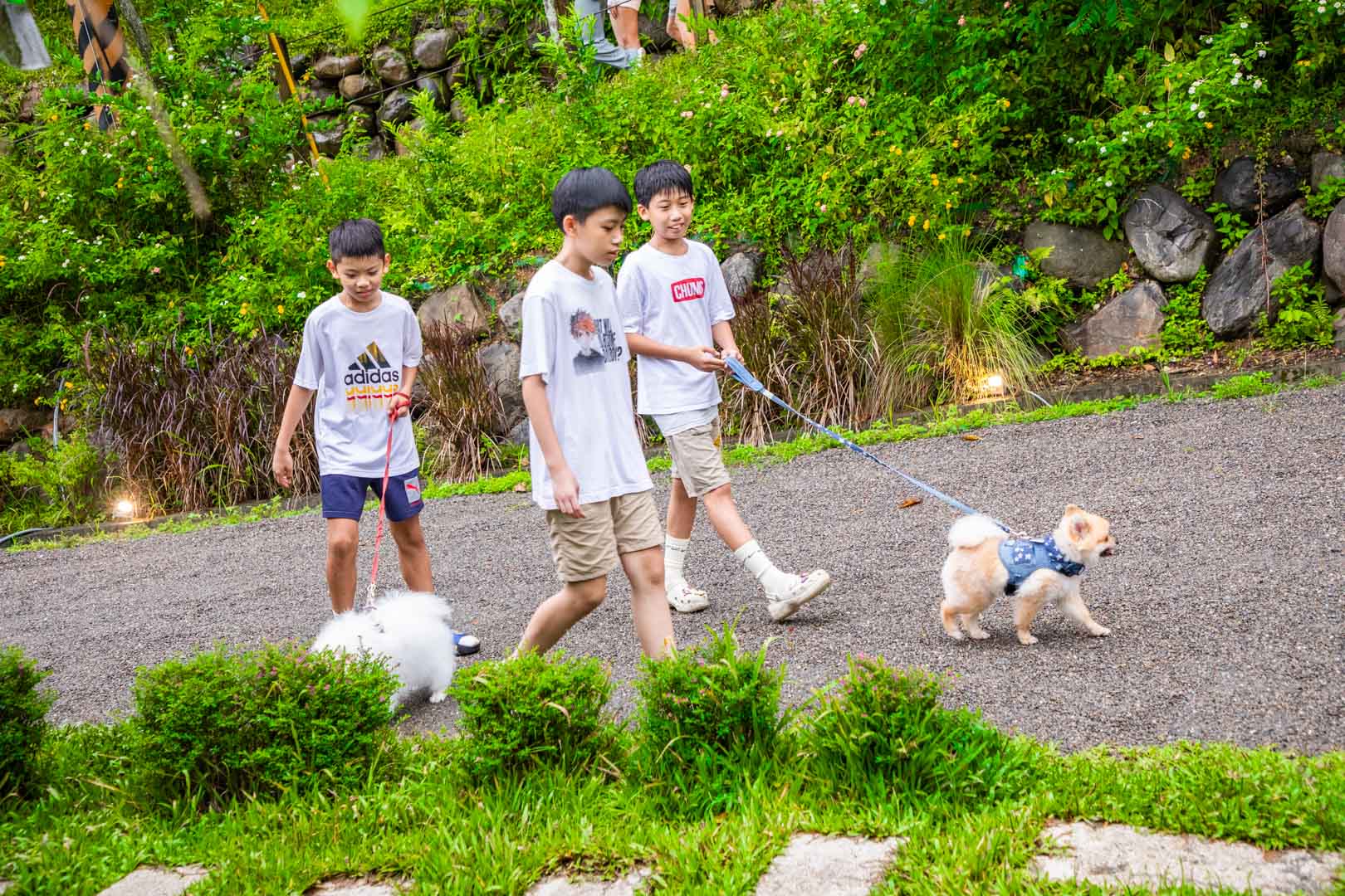 埔里住宿,