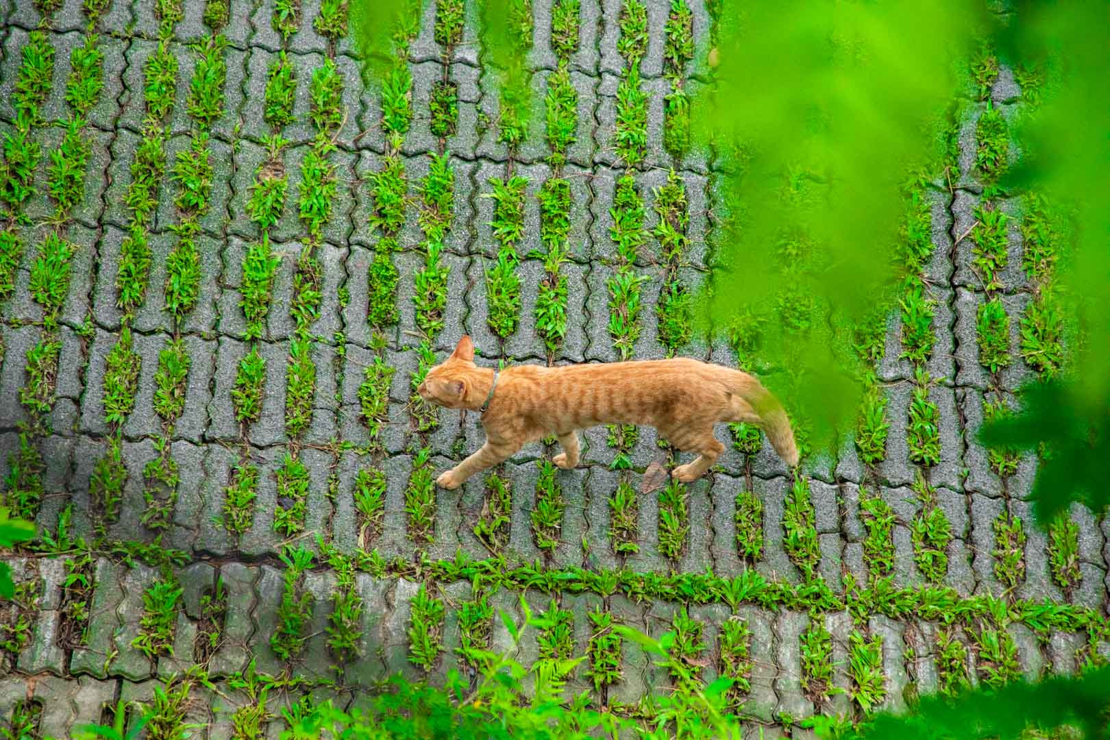 埔里住宿,