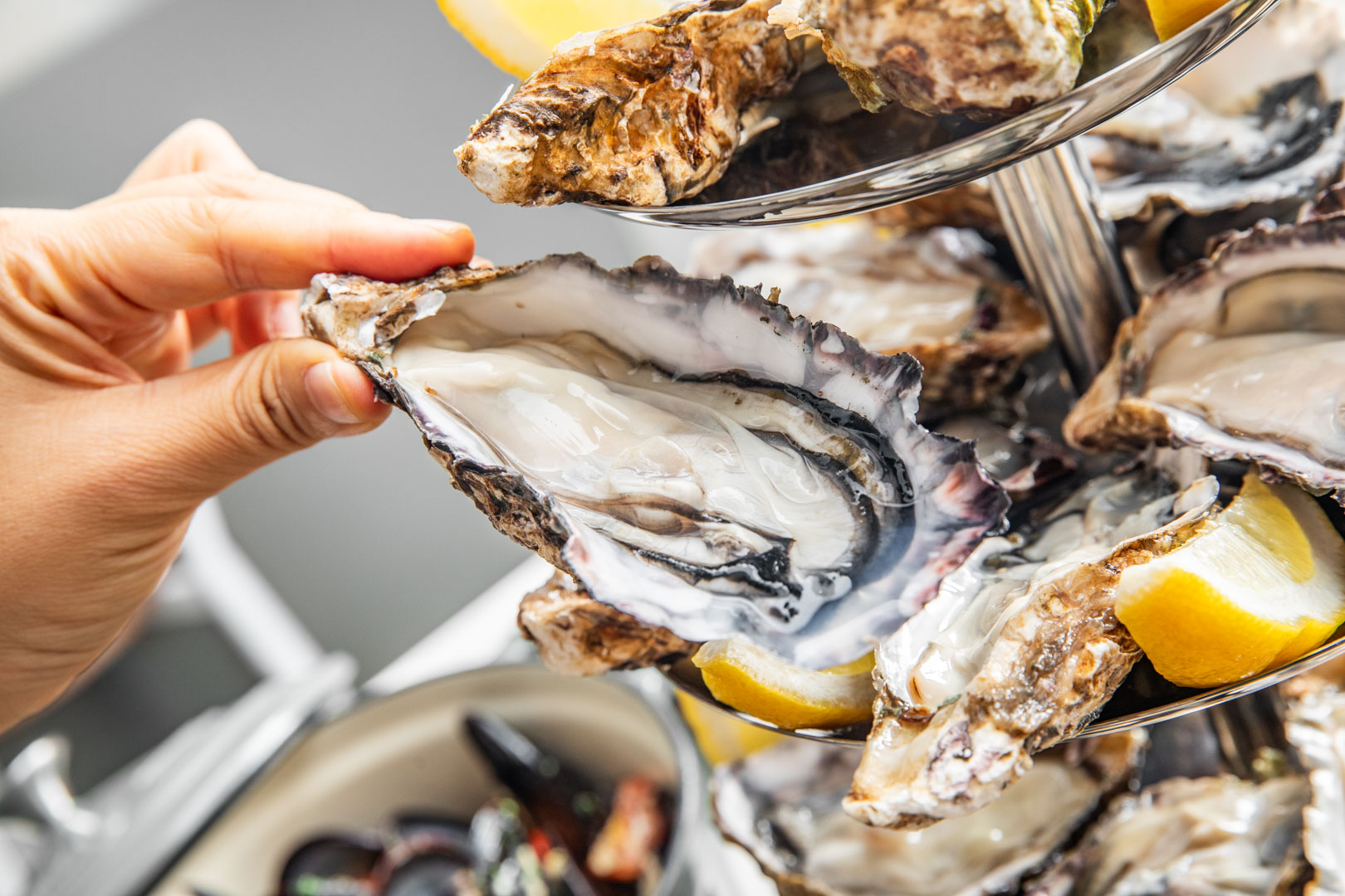 台北東區美食,She'll Oyster bar 敘