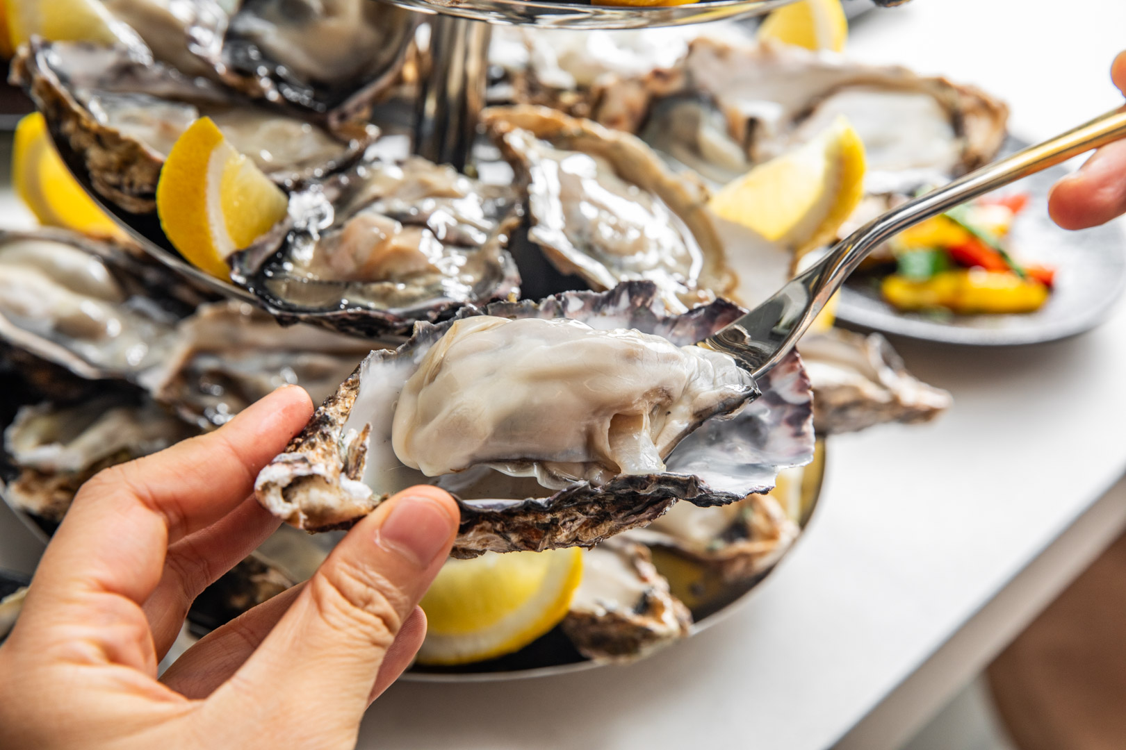 台北東區美食,She'll Oyster bar 敘