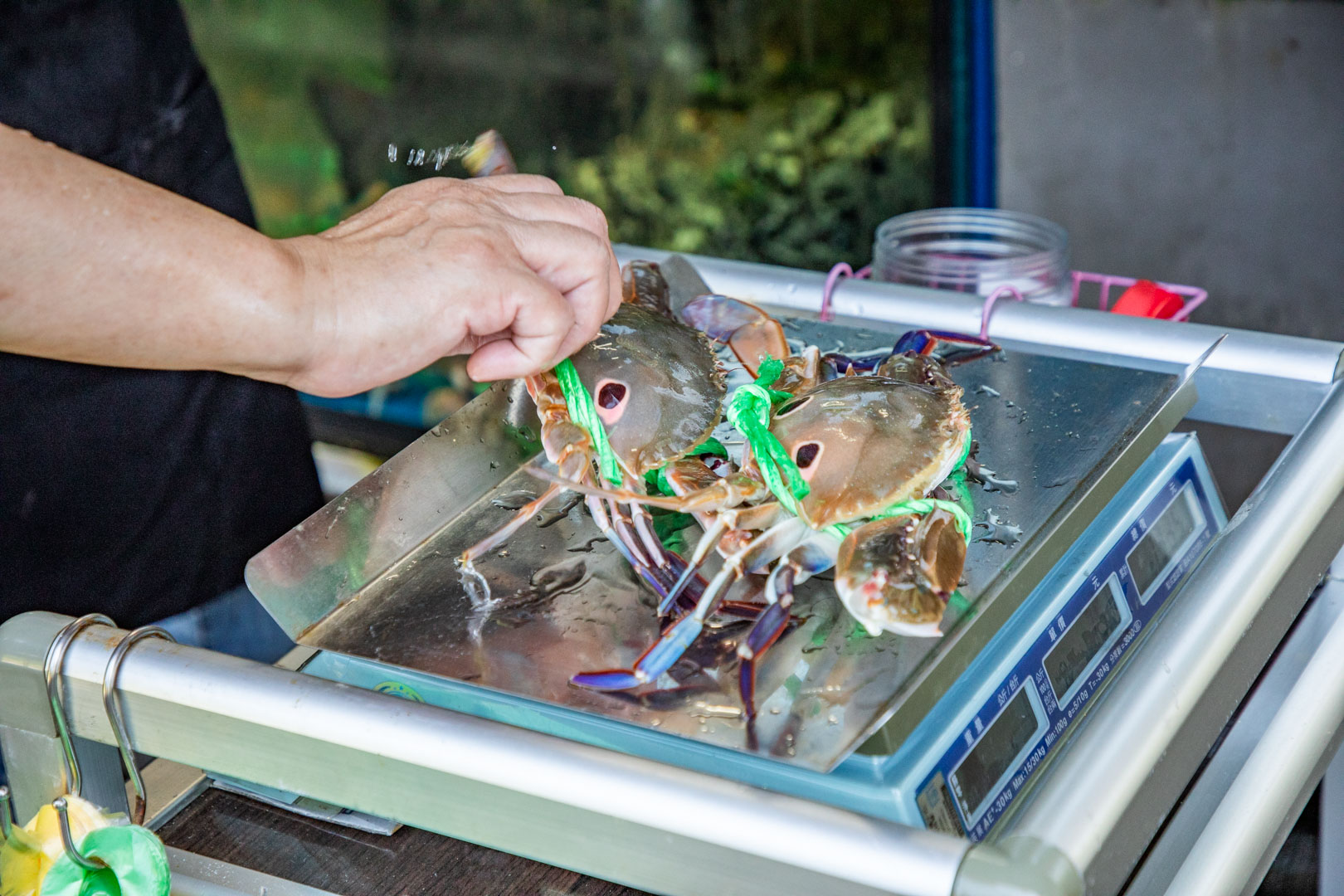 龜吼漁港海鮮、萬里蟹、明發料理坊