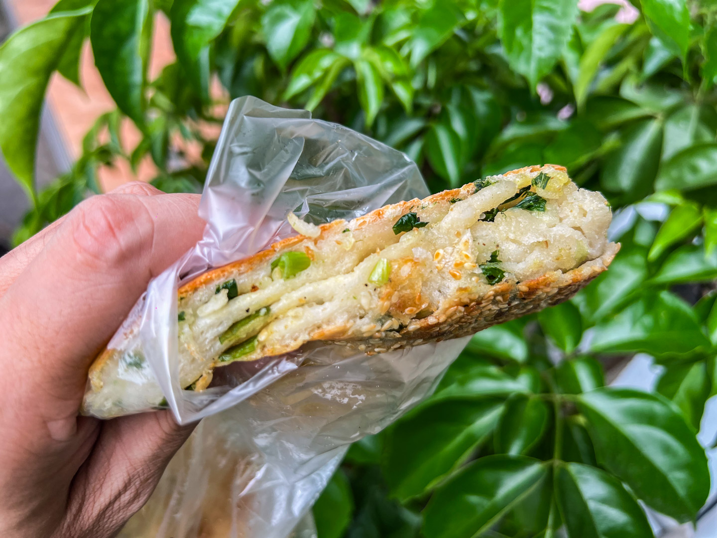 桃園美食,桃園東北大餅,桃園蔥大餅