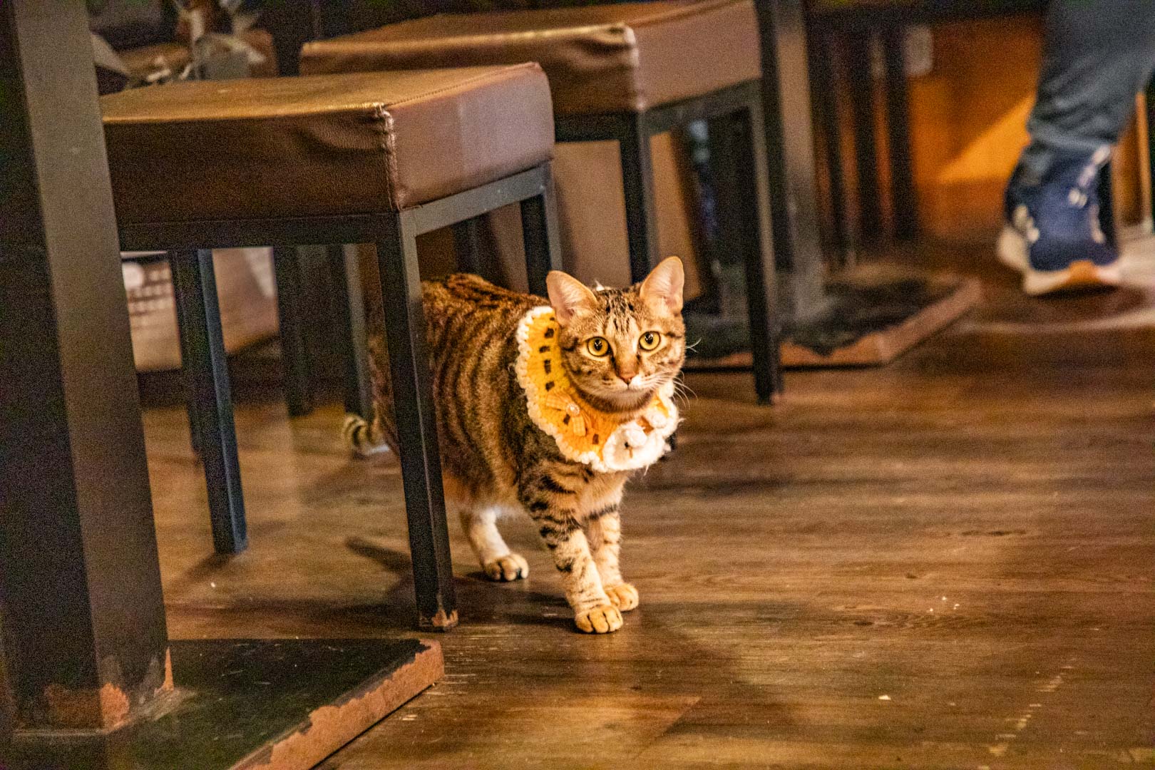 板橋居酒屋,炭吉郎居酒屋板橋店