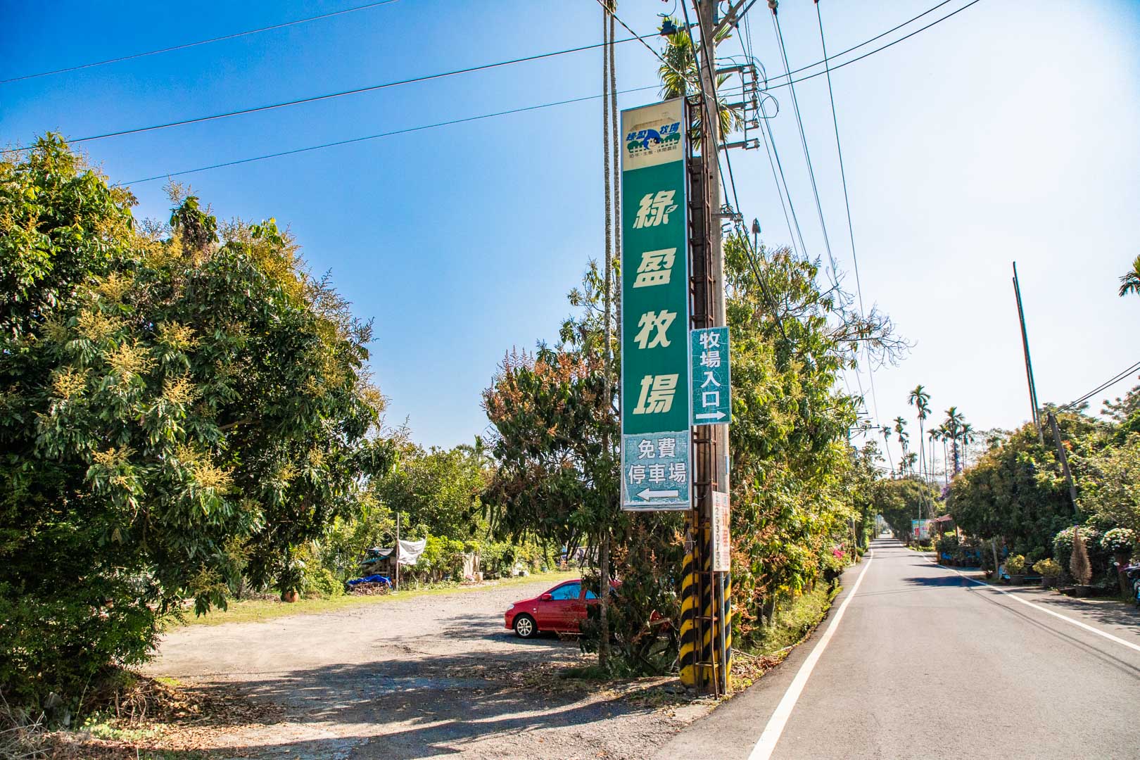 嘉義親子景點,綠盈牧場