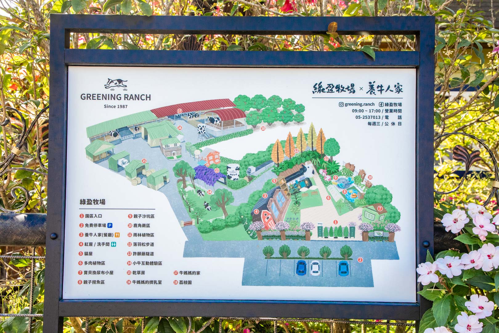 嘉義親子景點,綠盈牧場