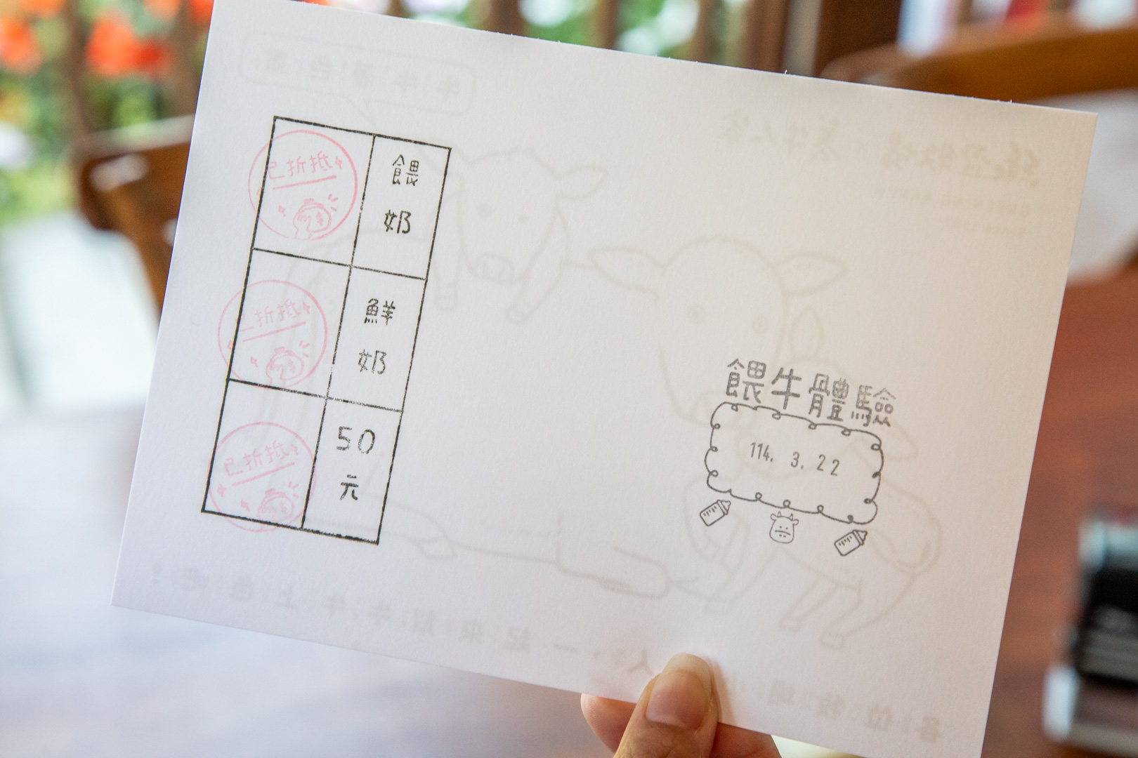 嘉義親子景點,綠盈牧場