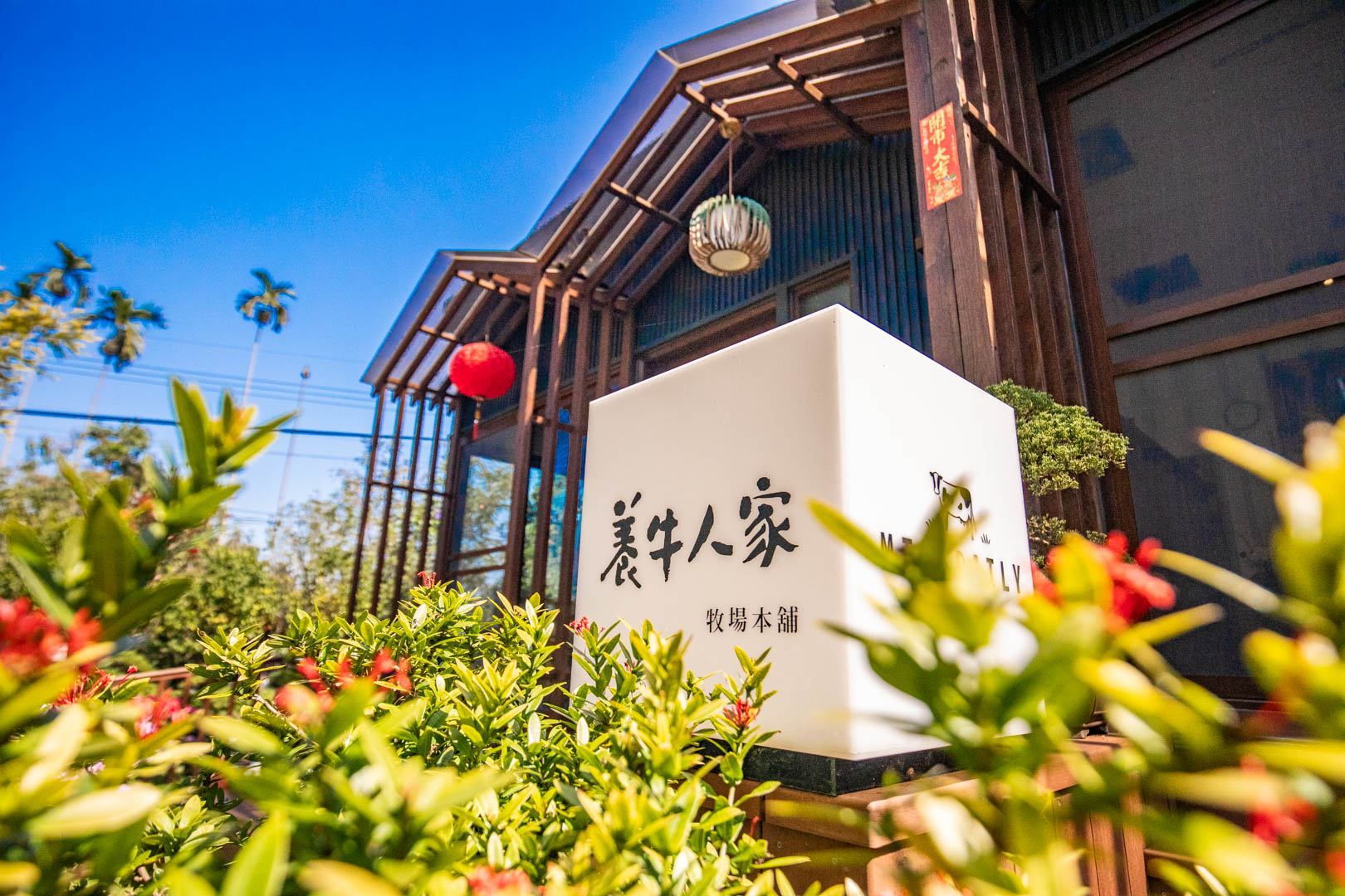 嘉義親子景點,綠盈牧場