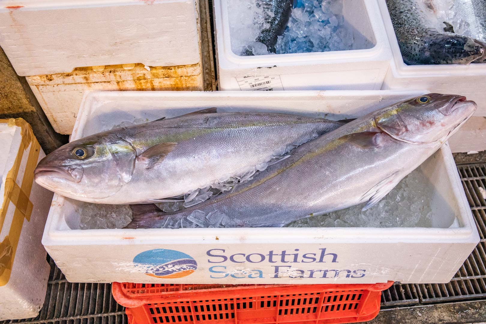 桃園生魚片,竹谷生魚片