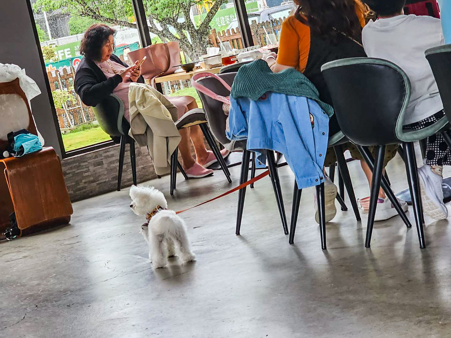 台中美食,台中寵物友善餐廳,野沐私房菜
