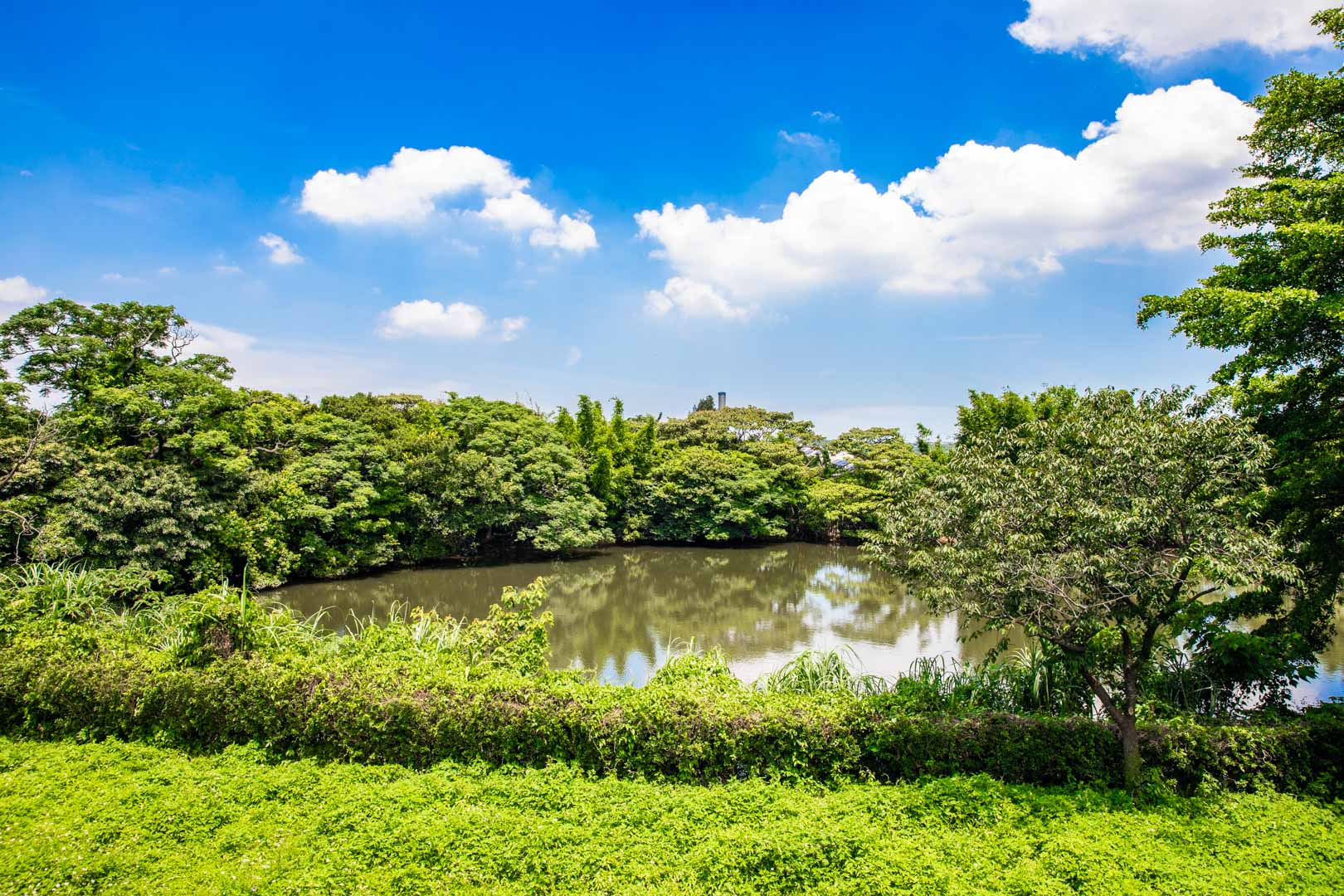 桃園美食,桃園客家菜,八方園百年三合院景觀客家餐廳