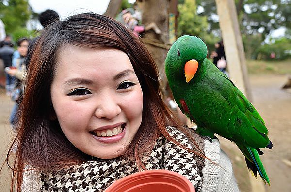 DSC_9962_79