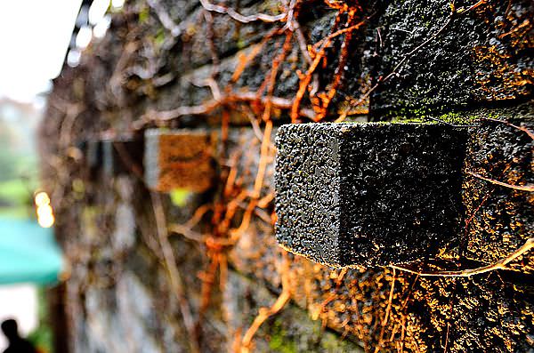 DSC_0042_11