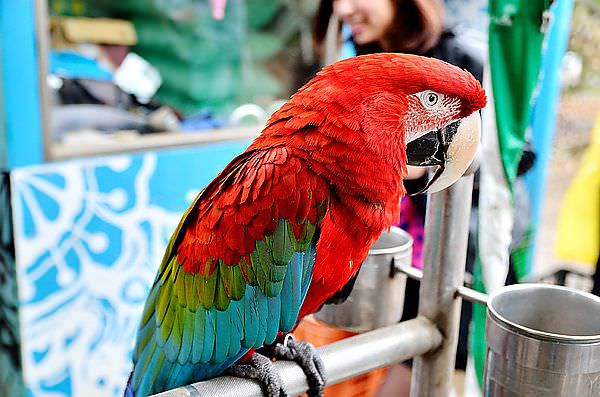 DSC_9845_5
