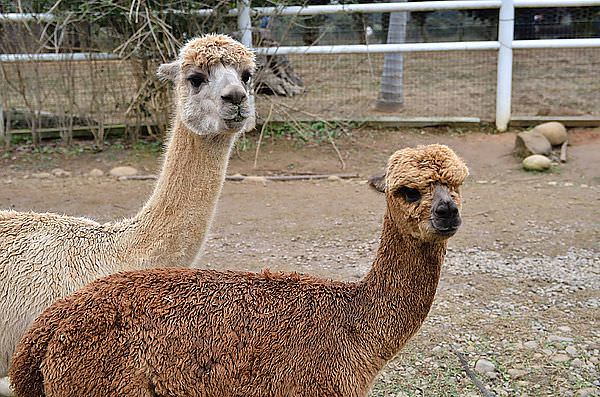 DSC_9926_57