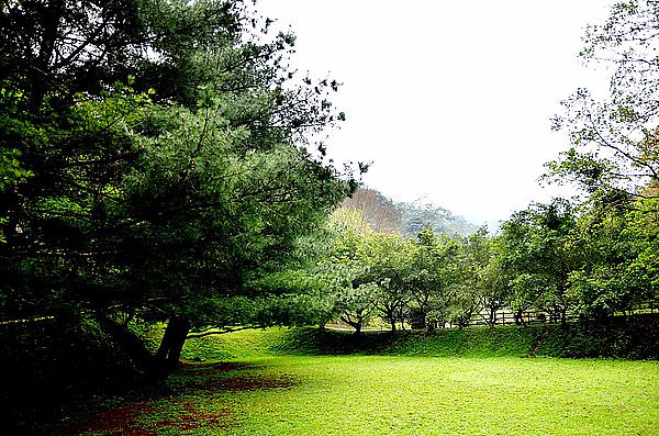 DSC_9997_26