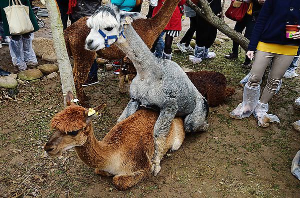 DSC_9901_39