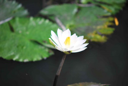  @大手牽小手。玩樂趣