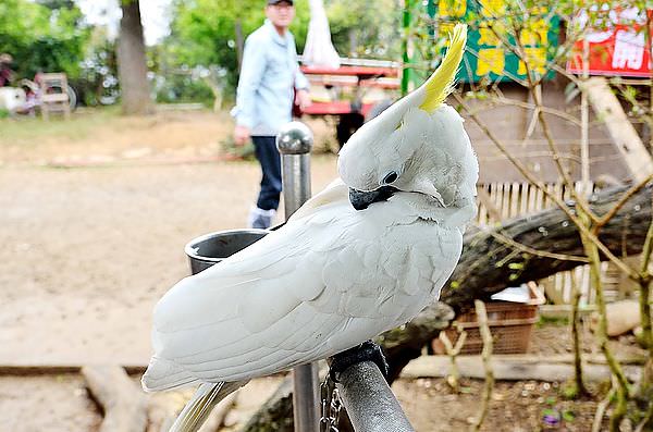 DSC_9844_4