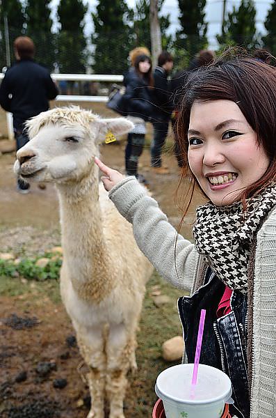 DSC_9914_47