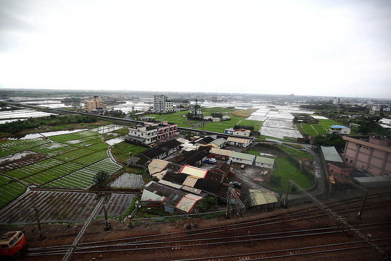 DPP_013