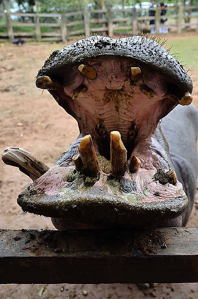 DSC_9950_73
